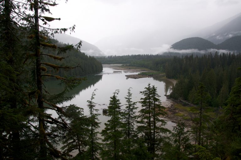 Great Bear Rainforest recognized by Royal Family