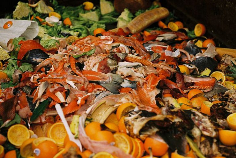 The future of food waste disposal in Powell River
