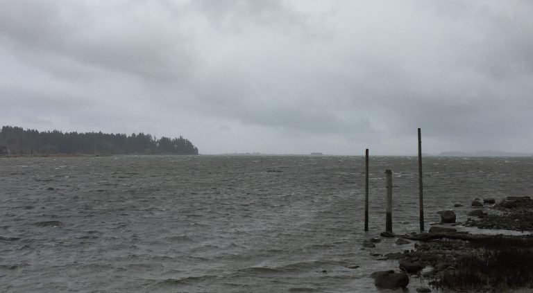 Wind warning in effect