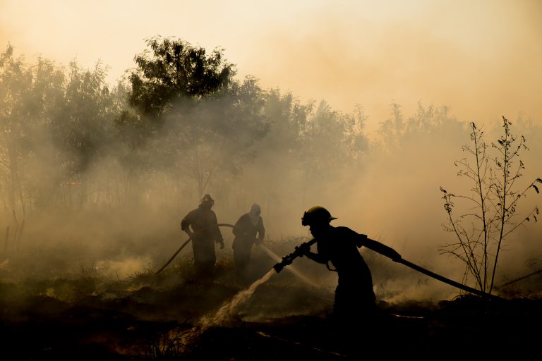 City to host wildfire protection and education day
