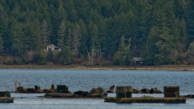 Province issues norovirus warning, local oyster farms temporarily shut down