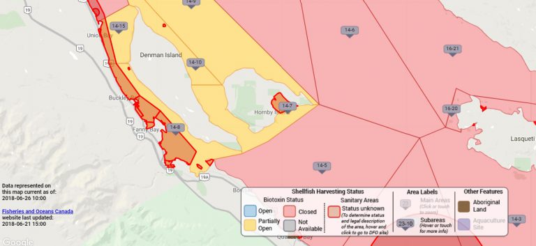 Emergency oyster closure ended for western Denman Island