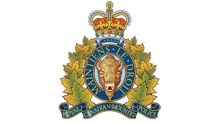 RCMP stop erratic driver, theft from vehicle