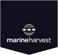 Marine Harvest rebranding as MOWI