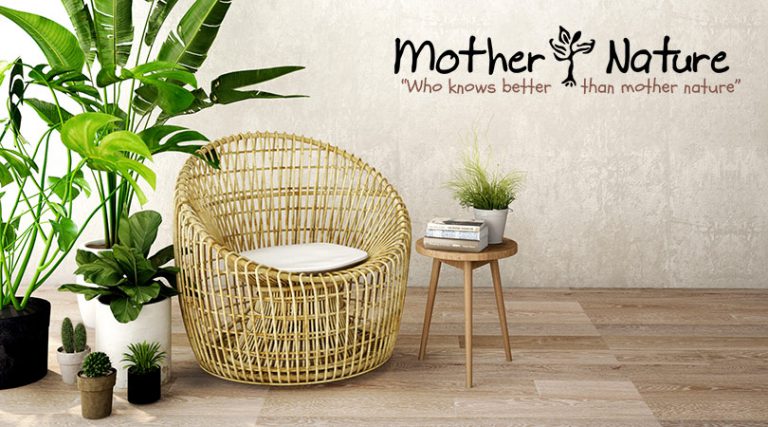 Beautify your living space with unique Gift Ideas, Home Decor & Tropical Plants.