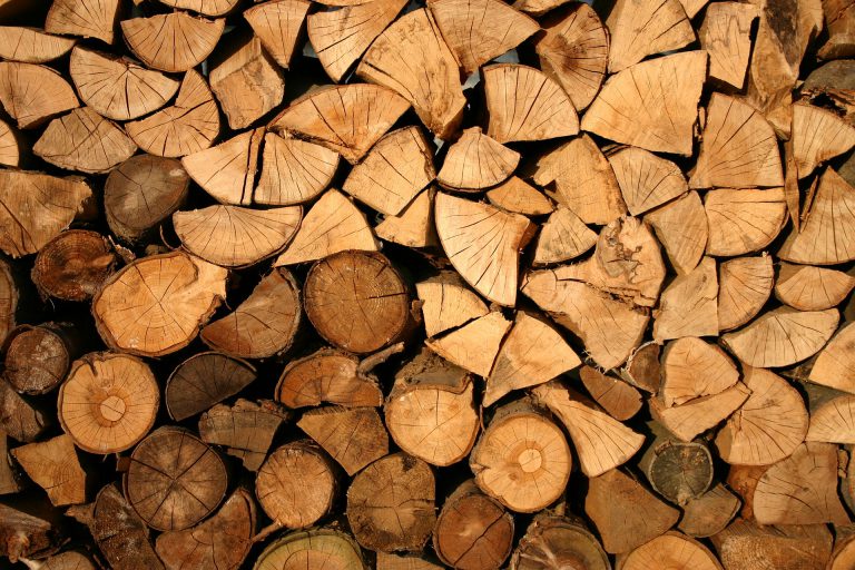 USW forestry strike enters third week