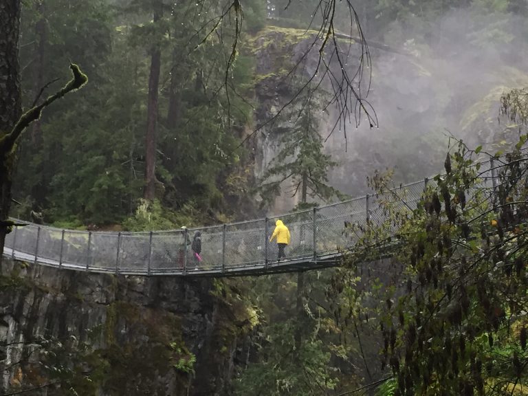 Wet first half of September across Vancouver Island, Sunshine Coast