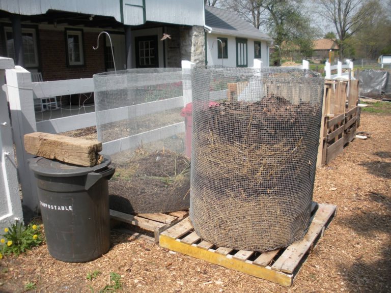 Let’s Talk Trash receives grant for Zero Waste equipment
