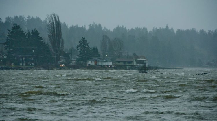 Monday ferries cancelled, wind warning for Powell River