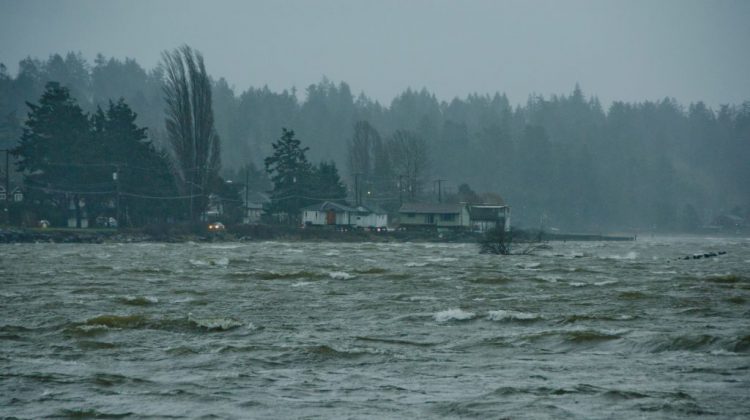 Wind warnings issued for east Vancouver Island, Sunshine Coast