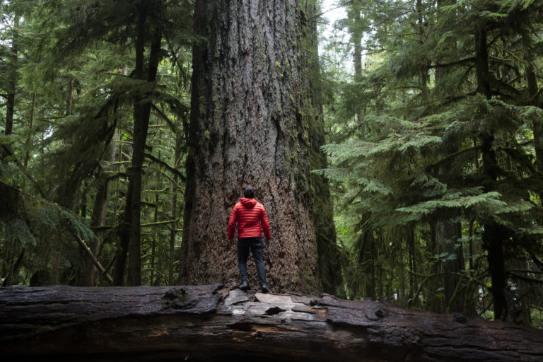 Vancouver Island tourism sector entering ‘relief phase’