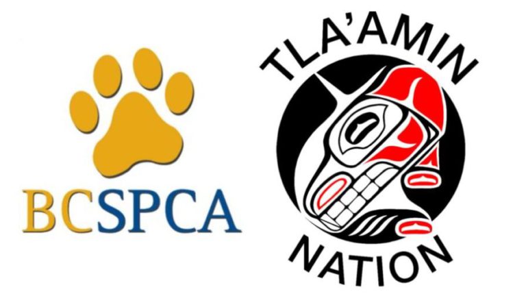Tla’amin Nation, BC SPCA sign agreement to solidify partnership