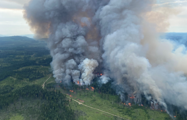 Western Forest Products announces $50,000 donation to wildfire relief and readiness efforts