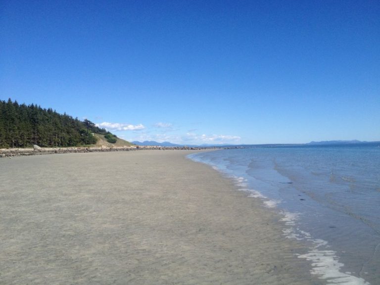 High risk fire activities banned on Savary Island