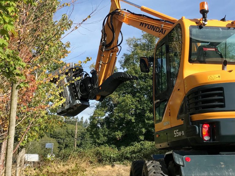 City to cut back homeowners’ branches, plants to restore sightlines
