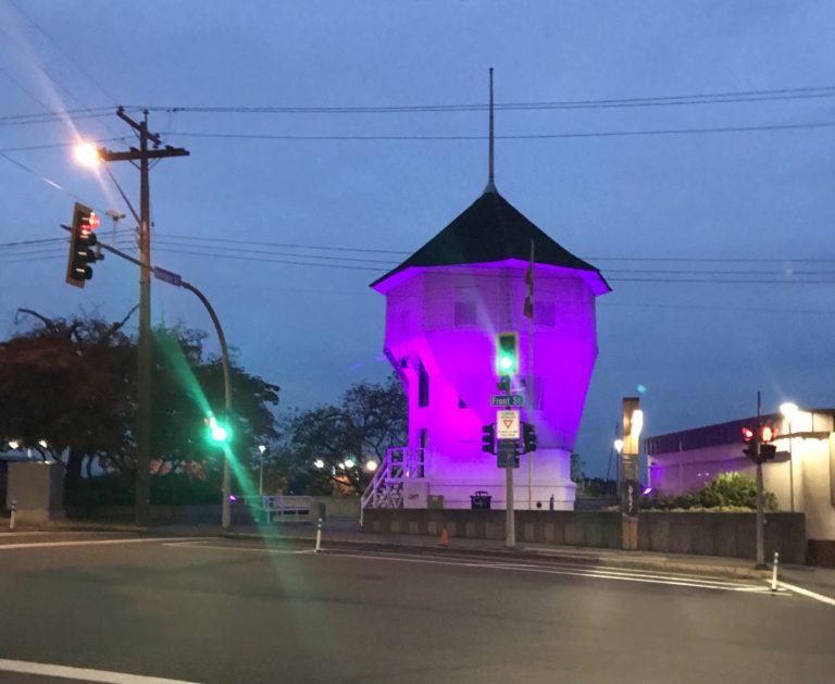 Purple Light Nights shines the light on Intimate Partner Violence