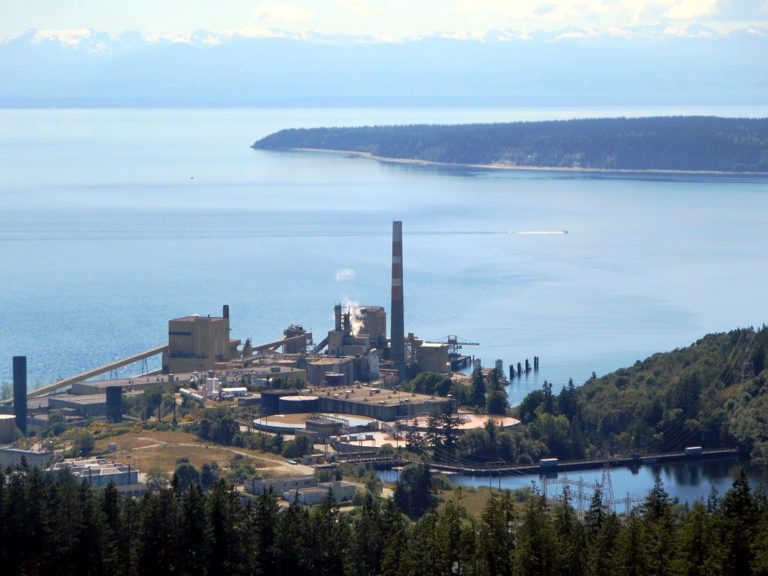Tla’amin Nation wants involvement with potential Catalyst mill investors