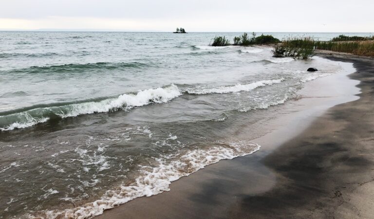 Tla’amin Nation to receive $185,000 for Shoreline Naturalization Plan
