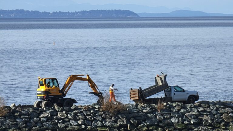 Construction underway at Willingdon Beach weir