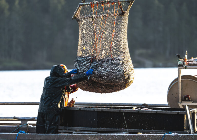 UPDATED: Overfishing causes fisheries to not meet quotas: Conservancy