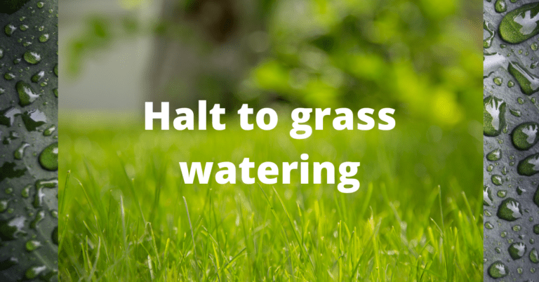 Halt to lawn watering coming to parts of the Sunshine Coast