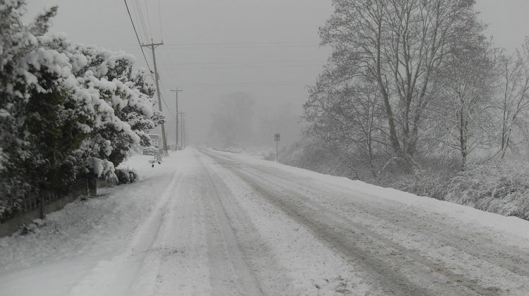 Snowfall warning in effect on Sunshine Coast