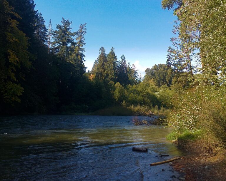 Healthy Watersheds Initiative Provides Funding for Over 60 Restoration Projects in BC
