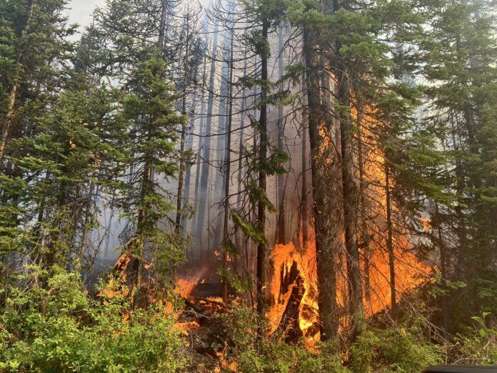 Toba Inlet Wildfire still burning, says BC Wildfire Service
