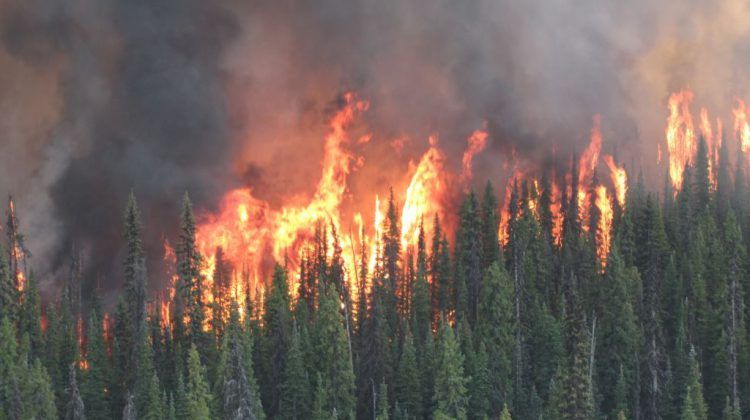 Eby releases statement on wildfire situation