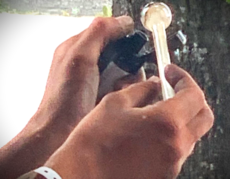 New rules try to balance public safety and compassion in drug crisis response