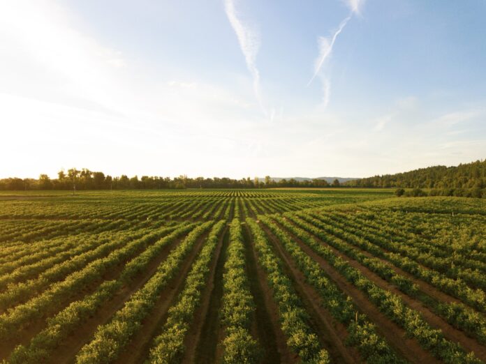 Province to host 30 drought workshops for farmers