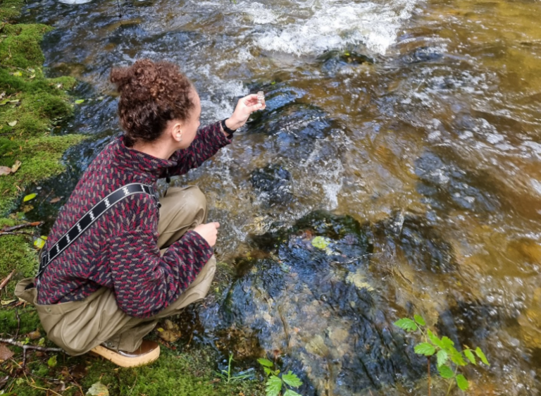 Salmon stamp money helps protect Lang Creek