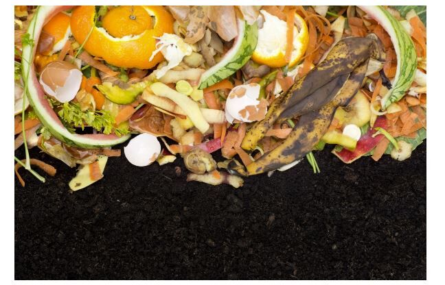 qathet Organics program to move to new spots late-March